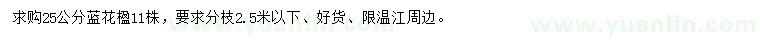 求購25公分藍(lán)花楹