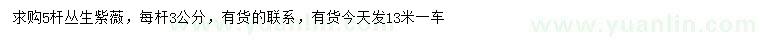求購5桿叢生紫薇