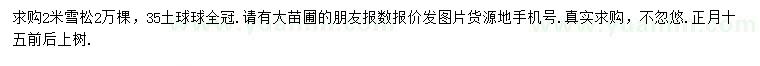 求購2米雪松