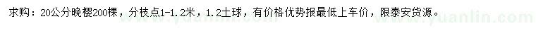 求購(gòu)20公分晚櫻