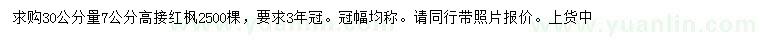 求購30公分量7公分高接紅楓