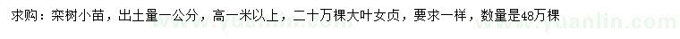 求購(gòu)1公分欒樹(shù)、大葉女貞