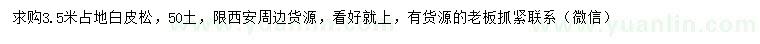 求購3.5米占地白皮松