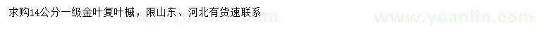 求購(gòu)14公分金葉復(fù)葉槭