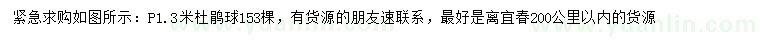 求購冠幅1.3米杜鵑球