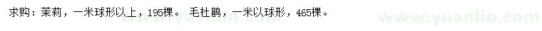 求購1米茉莉、毛杜鵑