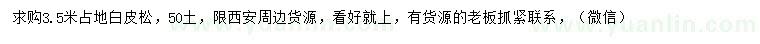 求購3.5米占地白皮松