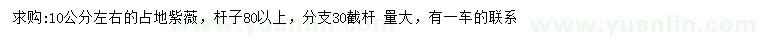 求購(gòu)10公分左右紫薇