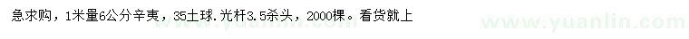 求購1米量6公分辛夷