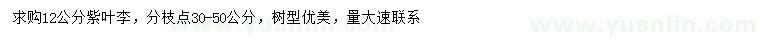 求購12公分紫葉李