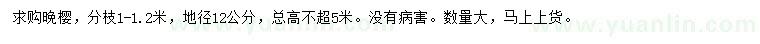 求購(gòu)地徑12公分晚櫻