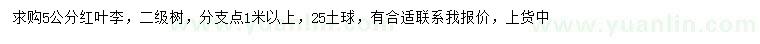 求購5公分紅葉李