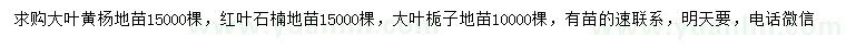 求購大葉黃楊、紅葉石楠、大葉梔子