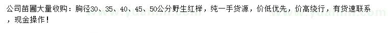 求購(gòu)胸徑30、35、40、45、50公分紅櫸