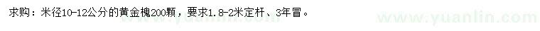 求購10-12公分黃金槐