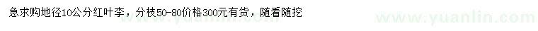 求購地徑10公分紅葉李