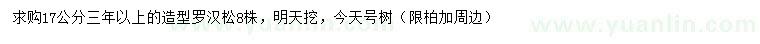 求購17公分羅漢松