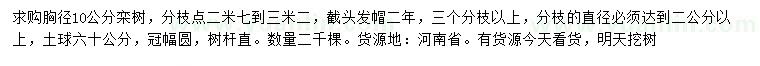 求購胸徑10公分欒樹