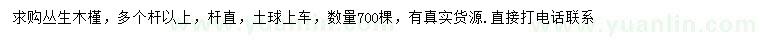 求購叢生木槿