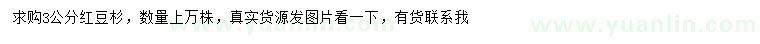 求購3公分紅豆杉