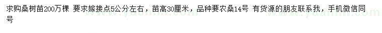求購(gòu)高30公分桑樹(shù)苗