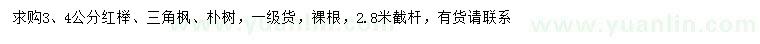 求購紅櫸、三角楓、樸樹