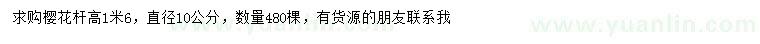 求購(gòu)高1.6米櫻花