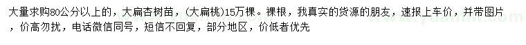 求購80公分以上大扁杏樹苗