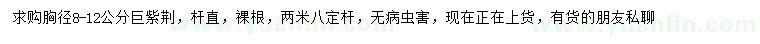 求購胸徑8-12公分巨紫荊