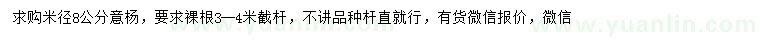 求購米徑8公分意楊