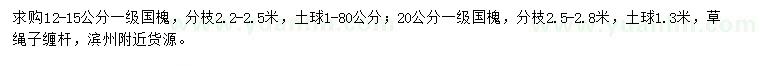 求購12-15、20公分國槐