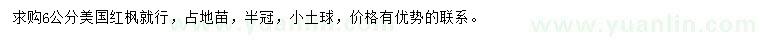 求購6公分美國紅楓