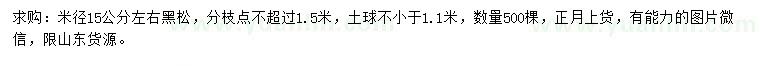 求購米徑15公分左右黑松