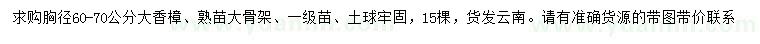 求購胸徑60-70公分大香樟