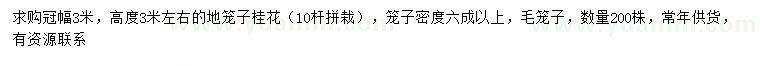 求購高3米左右地籠子桂花