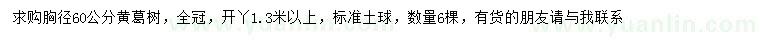 求購胸徑60公分黃葛樹(shù)