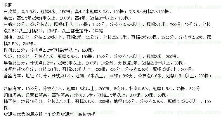 求購白皮松、黑松、白蠟等