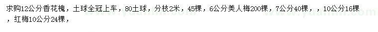 求購香花槐、美人梅、紅梅