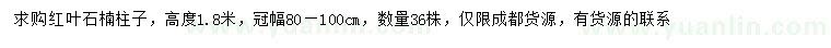 求購高1.8米紅葉石楠柱子