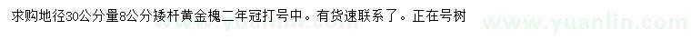 求購地徑30公分量8公分矮桿黃金槐