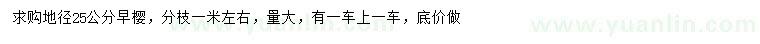 求購地徑25公分早櫻