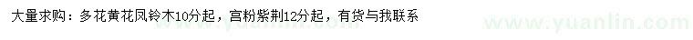 求購10公分以上多花黃花鳳鈴木、12公分以上宮粉紫荊
