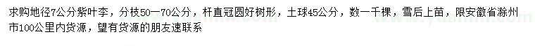 求購地徑7公分紫葉李