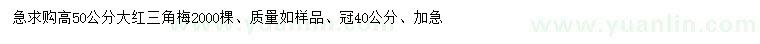 求購(gòu)高50公分大紅三角梅