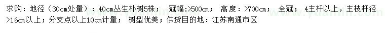 求購30公分量地徑40公分叢生樸樹(shù)