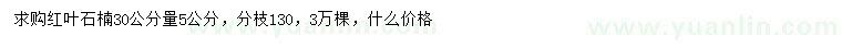 求購30公分量5公分紅葉石楠