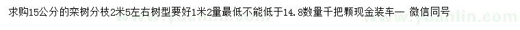 求購15公分欒樹(shù)