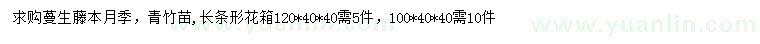 求購蔓生藤本月季、青竹苗
