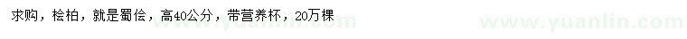 求購高40公分檜柏