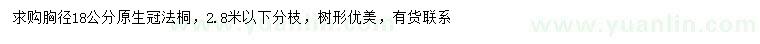求購胸徑18公分法桐